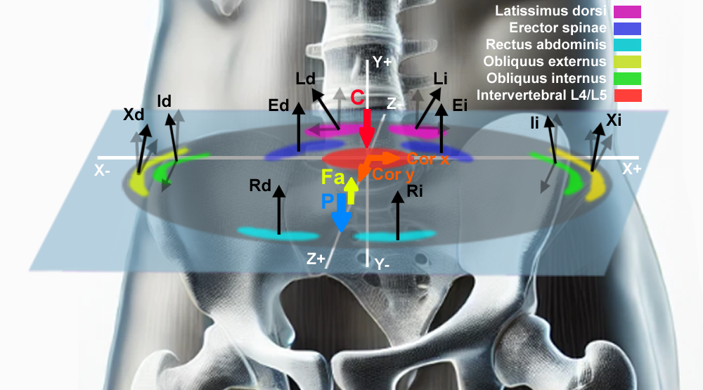 62: Modelo tridimensional para el cálculo de la compresión del disco intervertebral L4/L5.
