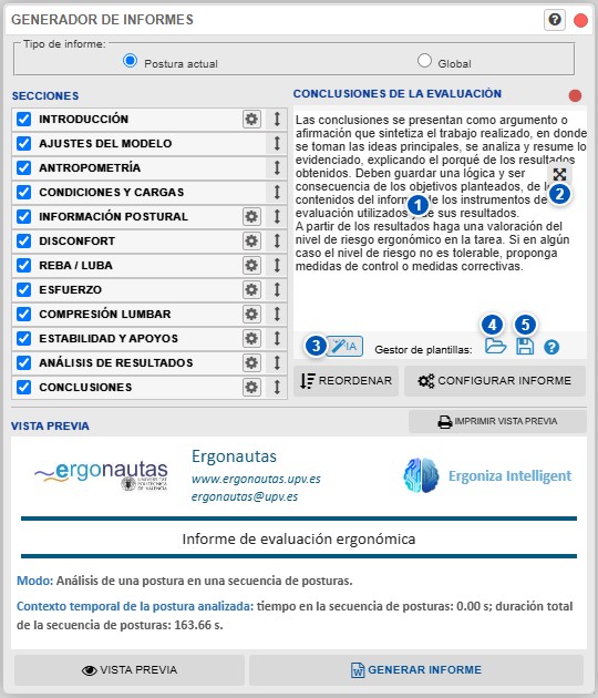 Opciones de las conclusiones del informe