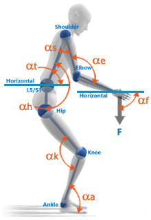 Measurement of angles between segments