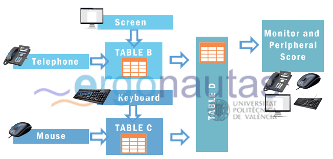 ergonautas- ROSA - Monitor and Peripherals Scoring