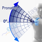 Angle measurement – Forearm pronation