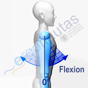 Angle measurement – Shoulder flexion