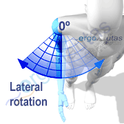 Angle measurement – Shoulder lateral rotation