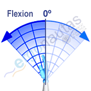 Angle measurement – Wrist flexion