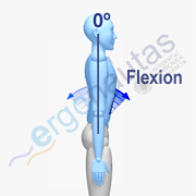 Angle measurement – Trunk flexion