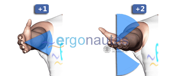 ergonautas - RULA - Puntuación del giro de muñeca.