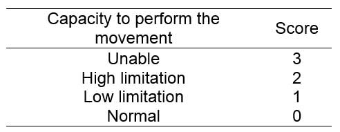 Score assigned to items according to worker’s capacity to perform the movement.